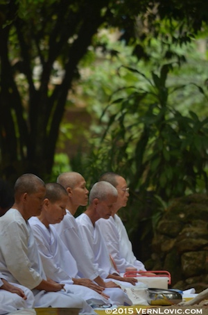 Shaved Buddhist nuns meditate in Thailand at Suan Mokkh temple in Chaiya, Southern Thailand.